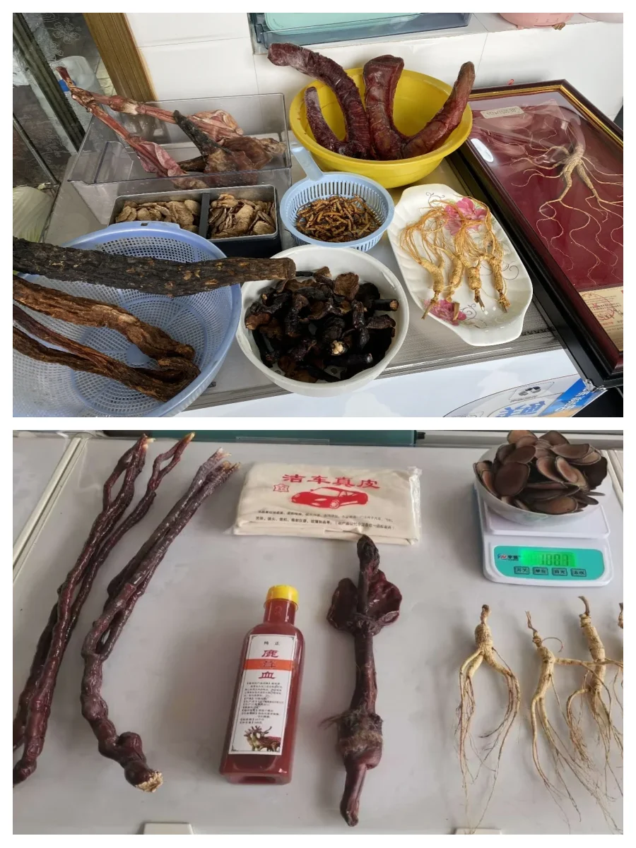 一瓶正在浸泡中的高品质鹿茸滋补酒，酒液清澈呈琥珀色，瓶内可见鹿茸切片与枸杞、人参等中药材。_1