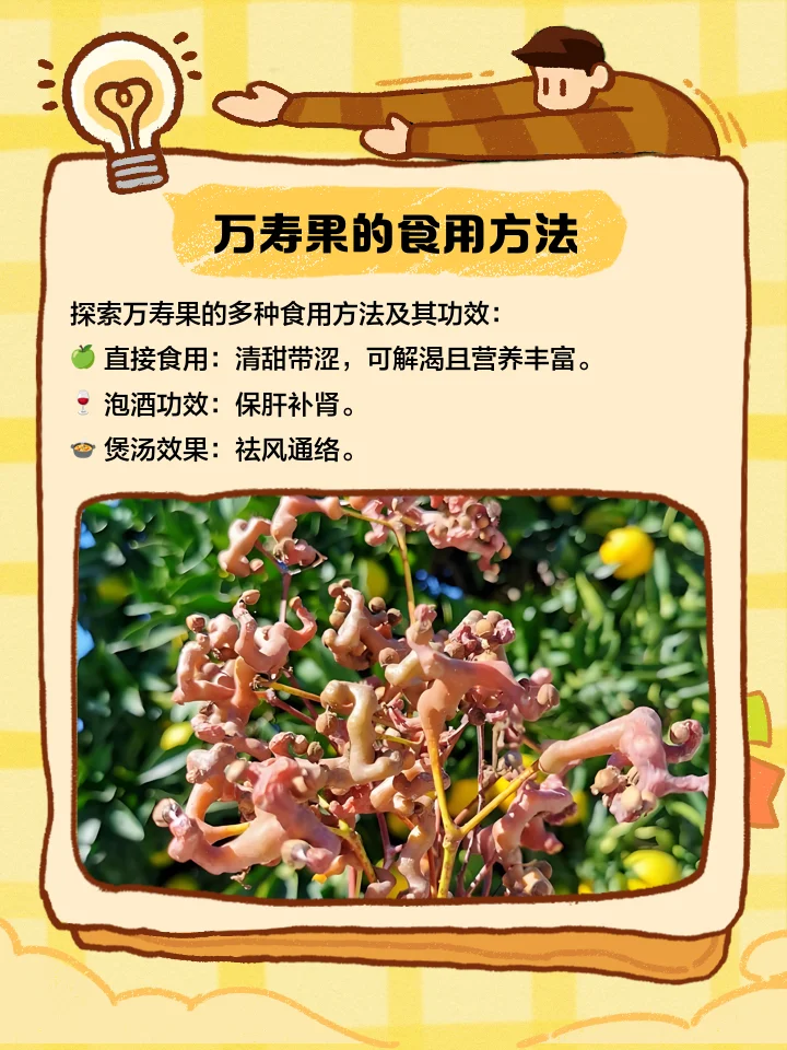 家庭自酿万寿果泡酒的特写，酒液琥珀色，果肉清晰可见，搭配枸杞红枣，置于木桌上。_1