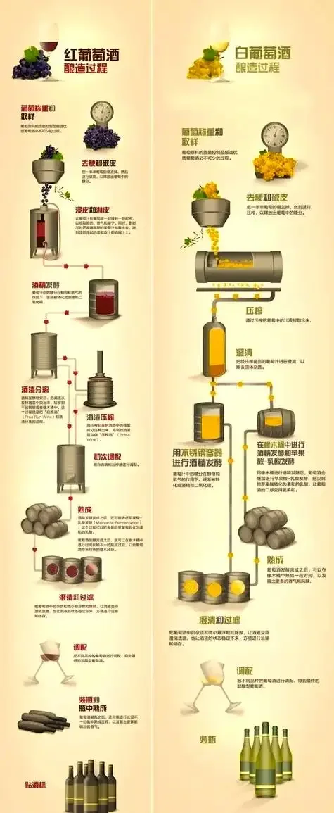 家庭自酿葡萄酒发酵过程：玻璃罐中紫红色的葡萄汁与葡萄皮正在发酵，旁边摆放着新鲜葡萄和糖，展示自酿的初始阶段。_1