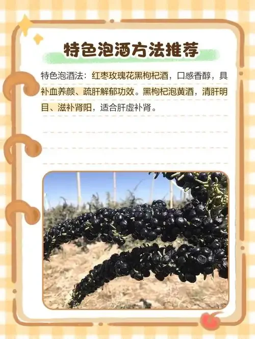 黑枸杞泡酒与红枸杞泡酒的对比展示图，两个透明玻璃罐中酒液颜色和枸杞颜色形成鲜明对比。_1