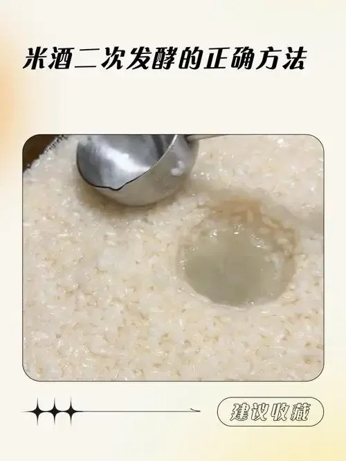 一碗刚酿好但可能因操作不当导致发酸的米酒，米粒清晰可见，用于展示家庭酿酒过程中的常见问题。_1