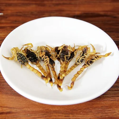 传统陶瓷酒坛中浸泡着蝎子、人参和枸杞的养生药酒静物照片_1