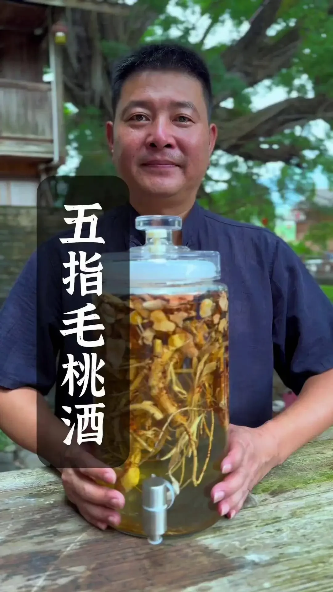 酿酒师将处理好的五指毛桃根放入玻璃酒瓶制作药酒的过程特写_1