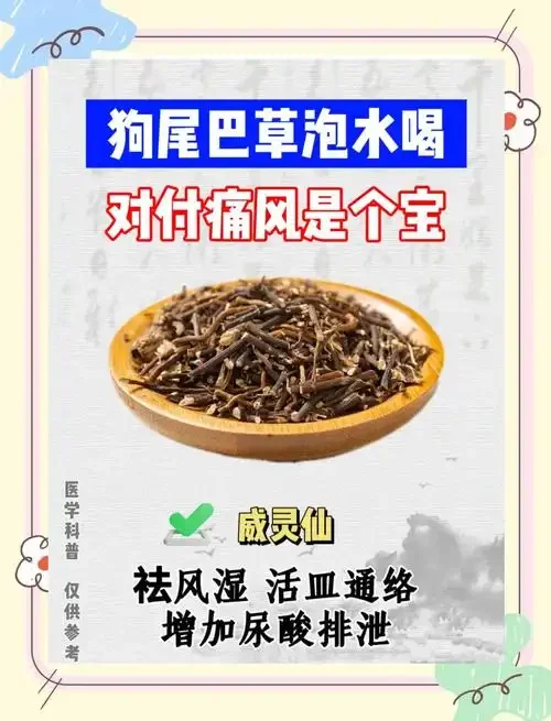 痛风调理药酒浸泡过程示例：玻璃瓶中木瓜、枸杞等药材清晰可见，旁边散落着待处理的原料和称量工具。_1