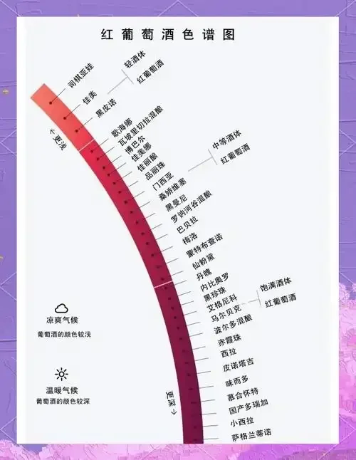 酿酒师正在通过观察酒液颜色、使用折射仪和pH试纸对葡萄酒进行多维度检验。_1