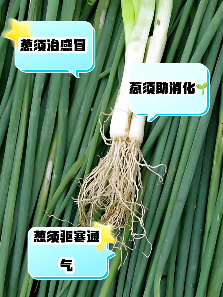 家庭自制葱须泡酒展示：透明玻璃罐中琥珀色酒液与葱须枸杞清晰可见_1