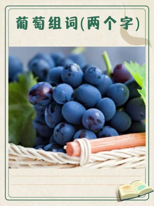 家庭酿造树葡萄酒的发酵罐与新鲜树葡萄静物图_1