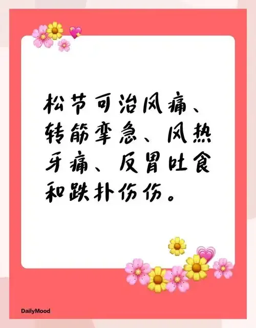 松树果泡酒制作现场：玻璃罐中琥珀色酒液浸泡着松塔，旁边是处理工具和原材料，展现家庭酿酒的专业与乐趣。_1