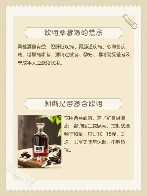 家庭自制桑葚干泡酒：透明玻璃罐中深紫红色的酒液与桑葚干，旁边散落着原料，氛围温馨。_1