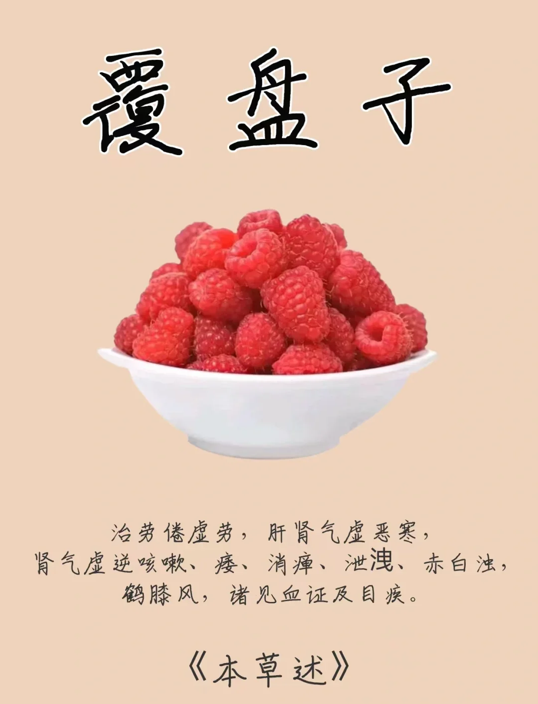 覆盆子根与果实特写，旁边是正在浸泡中的覆盆子根酒，展示了泡酒前的原材料准备状态。_1