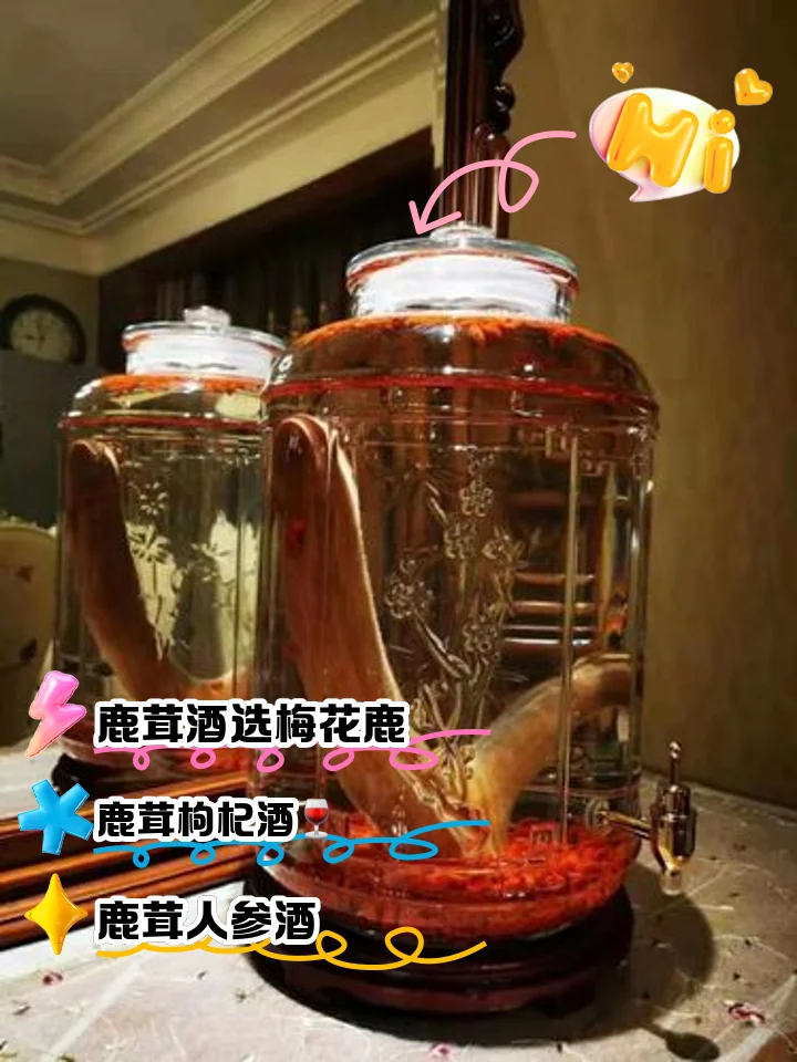 鹿茸泡酒最佳搭配实物展示：玻璃罐中浸泡着鹿茸片、人参、枸杞和红枣的养生药酒_1