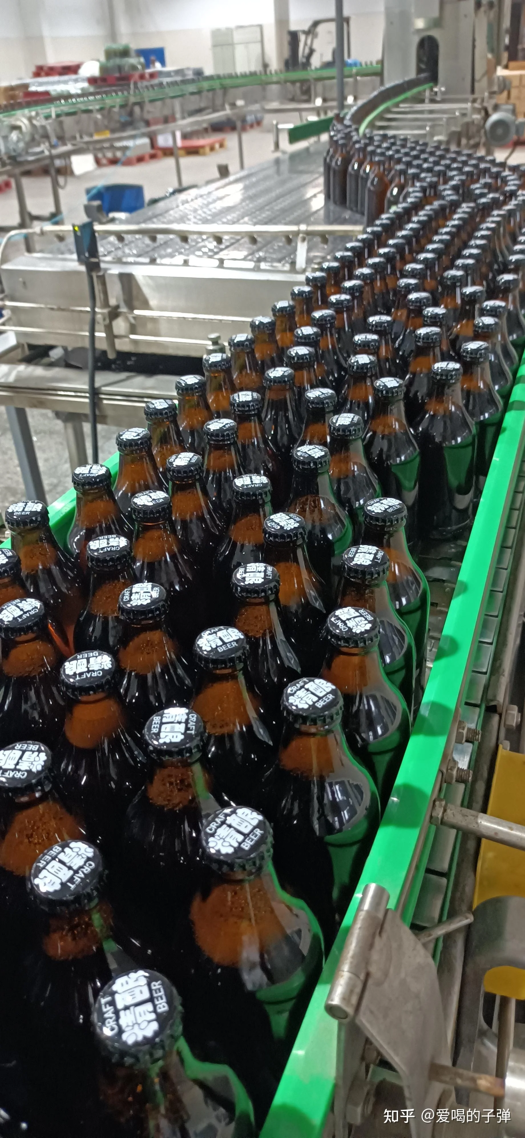 现代啤酒酿造四大核心原料：麦芽、啤酒花、酵母和水的静物展示图_1