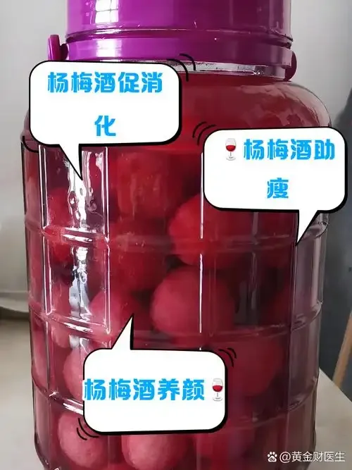 家庭自制杨梅枸杞泡酒：透明罐中杨梅与枸杞在酒液中清晰可见_1