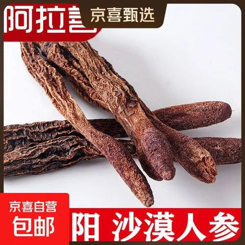 肉苁蓉和锁阳在透明玻璃罐中浸泡的滋补药酒特写_1