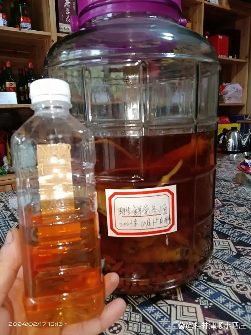 酿酒师正在亲手将野生党参放入玻璃酒坛中进行浸泡，展示传统泡酒工艺的关键步骤_1
