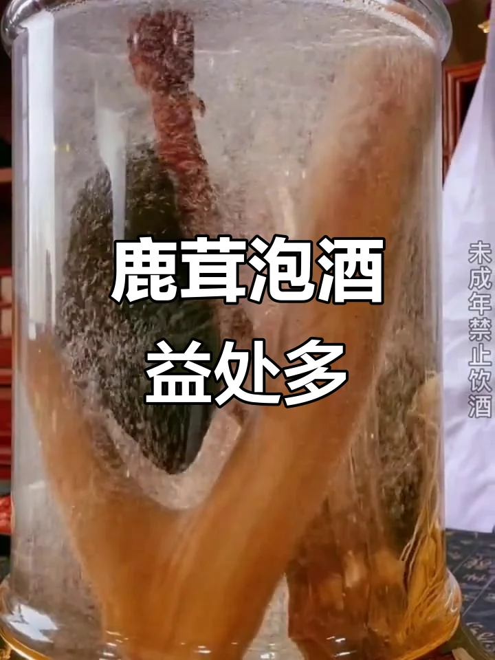 夏日家中实木桌上放置的鹿茸泡酒，旁边有小杯酒和薄荷叶，体现传统滋补与季节适应的结合_1