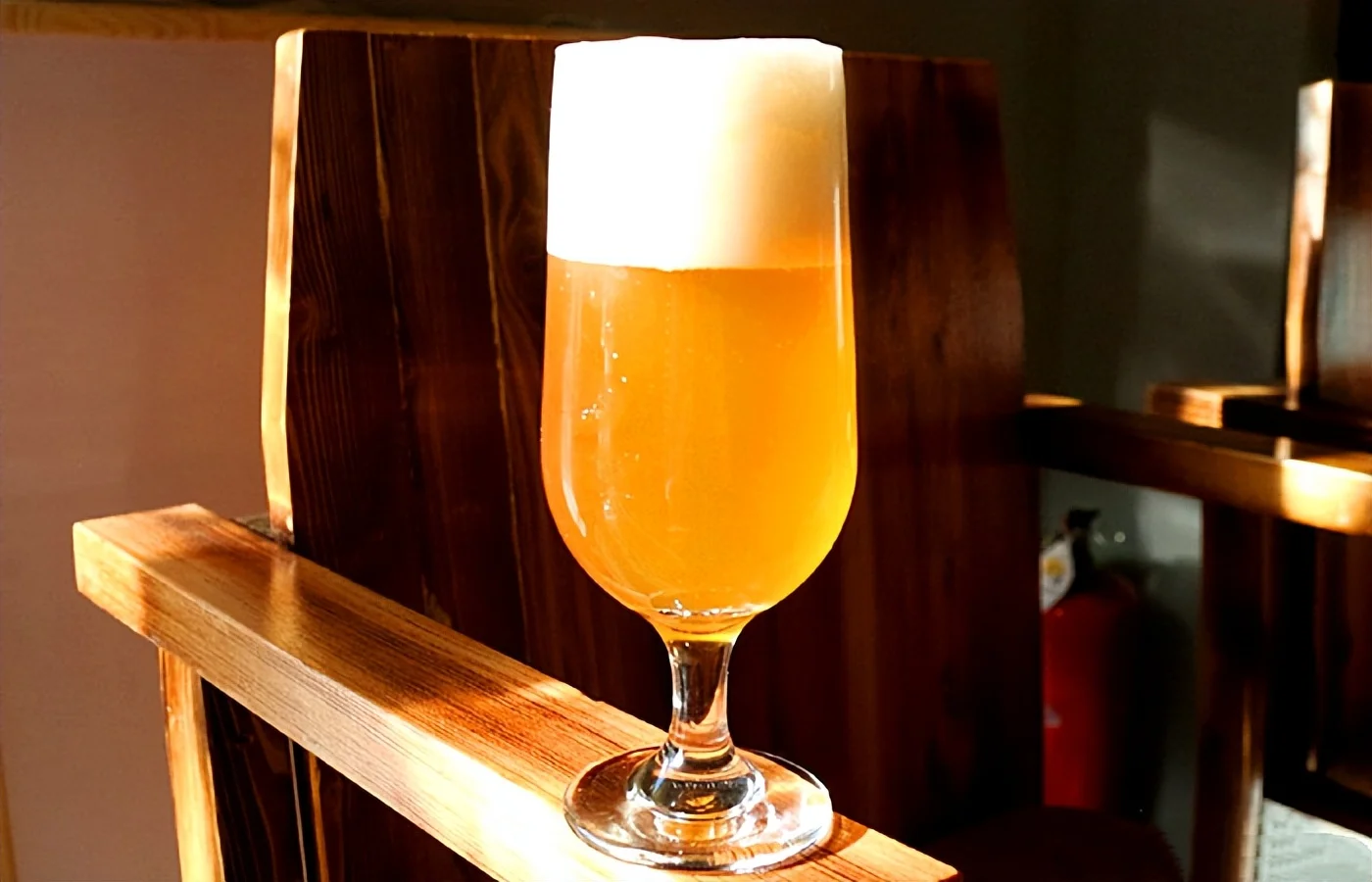 一杯新鲜酿造的琥珀色精酿啤酒，旁边摆放着麦芽和啤酒花等原料，展示家庭酿造的场景。_1