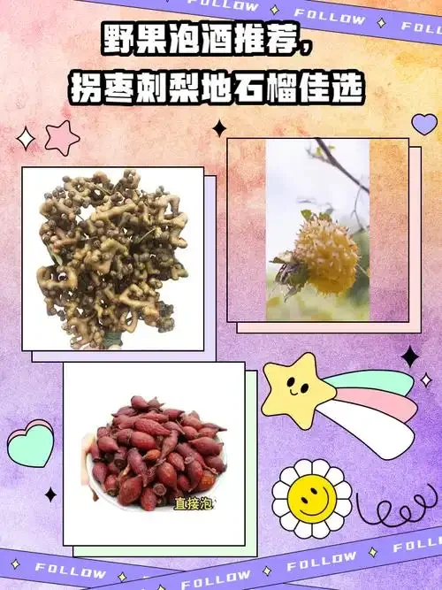 拐枣与刺梨泡酒原料准备及入罐过程特写照片，展示拐枣刺梨的形态、比例及透明泡酒罐的使用_1