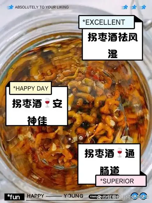 拐枣泡酒示意图：透明玻璃罐中金黄色的拐枣与白酒正在融合，旁边放置着新鲜的拐枣果实。_1