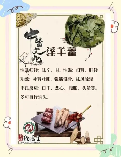 透明酒坛浸泡金银色酒液与淫羊藿根的专业泡酒场景_1
