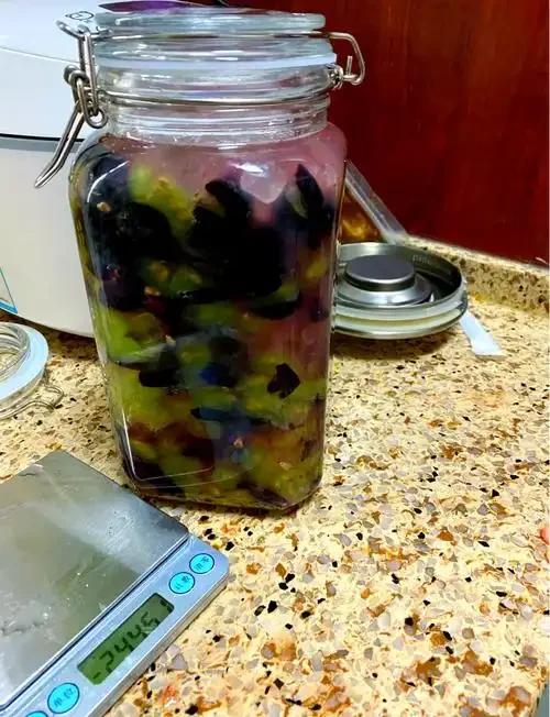 家庭自酿葡萄酒所需主要材料与工具：新鲜葡萄、玻璃发酵罐、压汁器、糖和搅拌棒_1