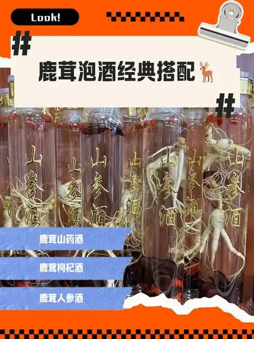 鹿茸粉泡酒比例展示：玻璃罐中鹿茸酒液与旁边一小碟鹿茸粉的特写_1