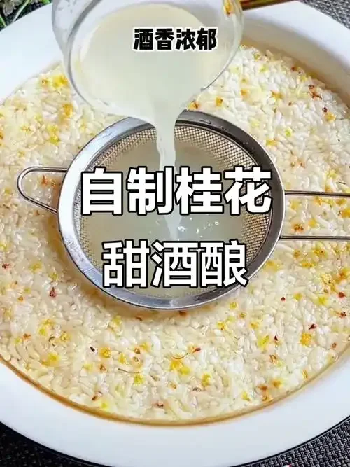 家庭制作甜酒酿的准备材料：蒸好的糯米、酒曲和工具_1