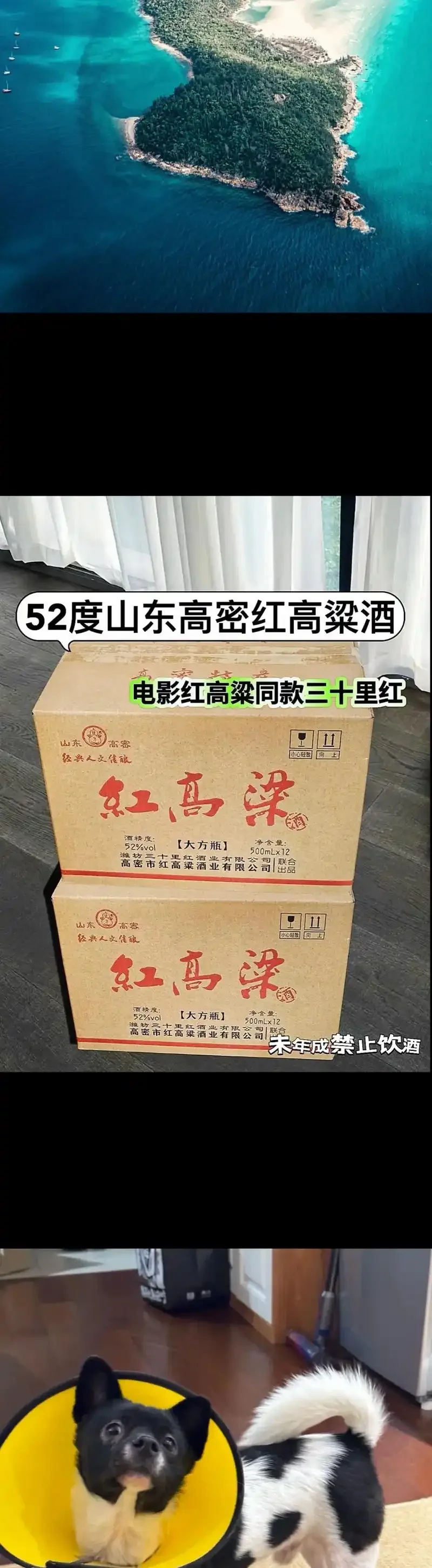 酿酒师手中饱满的红高粱颗粒，展示优质酿酒原料_1