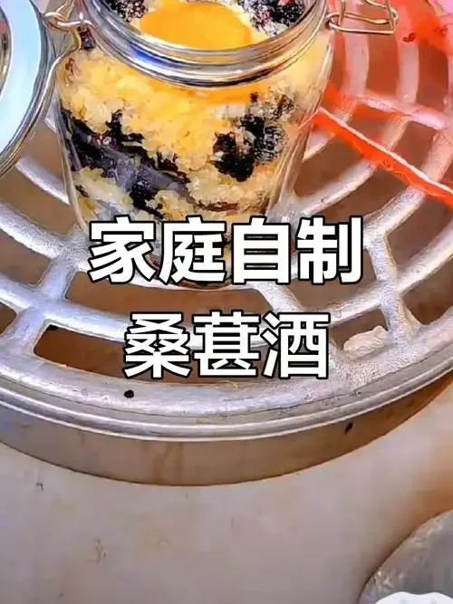 家庭酿造桑果酒过程展示：装满桑葚和冰糖的透明发酵罐特写_1