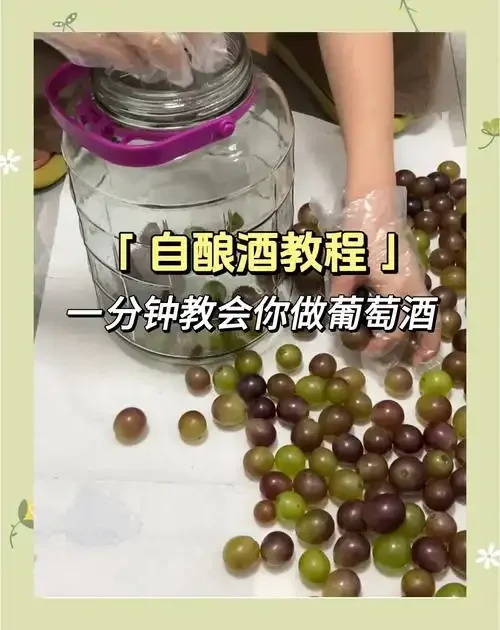 家庭自酿葡萄酒所需工具和成品的实景展示图，包括新鲜葡萄、玻璃发酵罐和成品酒_1