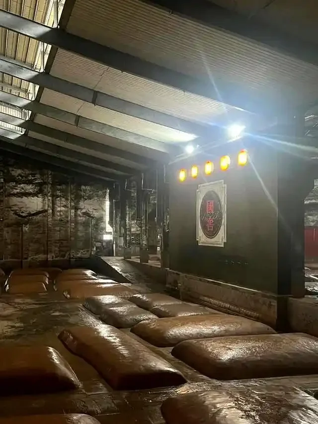 酿酒师在家庭地窖内检查陶坛封口和墙壁湿度，展示专业窖藏环境。_1