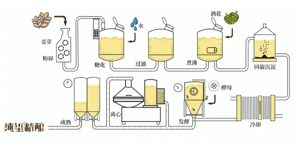 家庭啤酒酿造全套设备摆放图，展示从麦芽到成品的完整流程_1