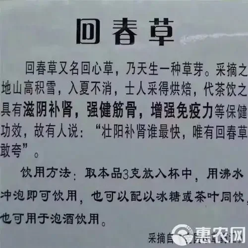 回春草泡酒配方材料与成品展示：玻璃罐中琥珀色酒液浸泡着回春草、枸杞和红枣，旁边是原材料和手写配方。_1