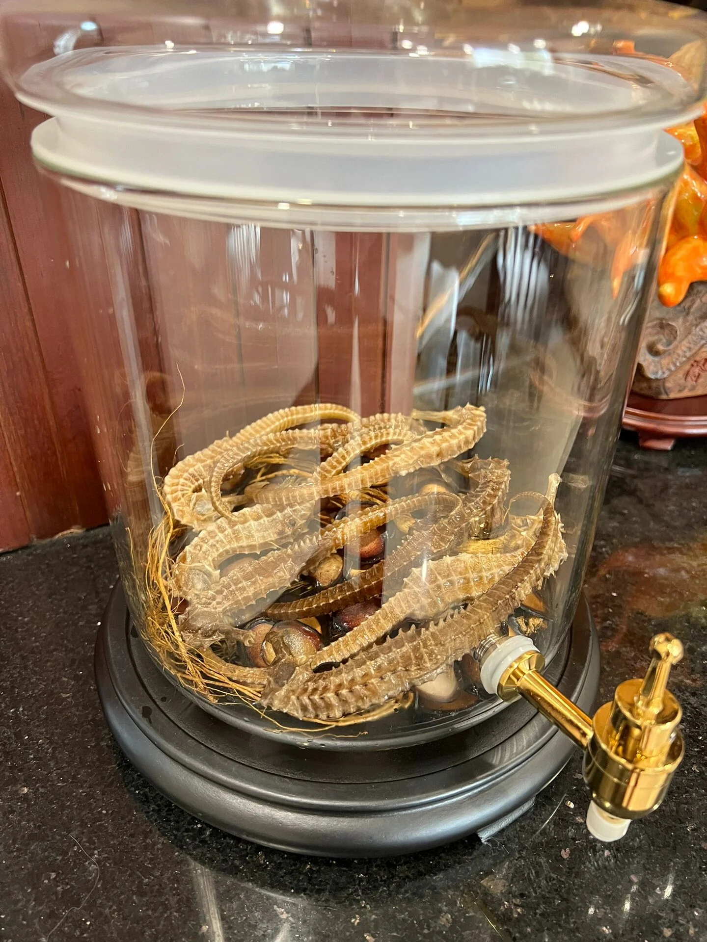 玻璃罐中海马与枸杞泡酒的特写，展示理想的药材浸泡状态_1