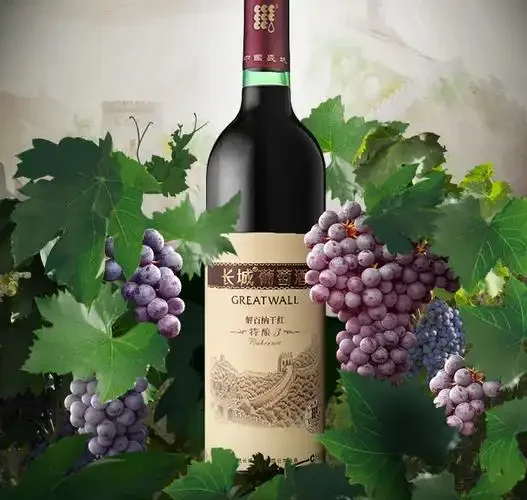 家庭自酿葡萄酒发酵过程：玻璃罐中正在发酵的葡萄醪液，旁边放着一碗新鲜葡萄和比重计_1