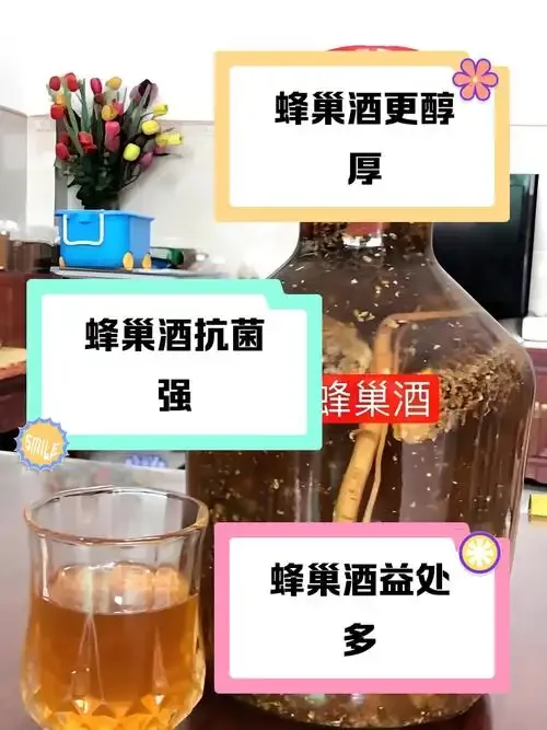 专业泡制的地蜂酒实拍图：玻璃罐中清晰可见完整的地蜂与酒液_1