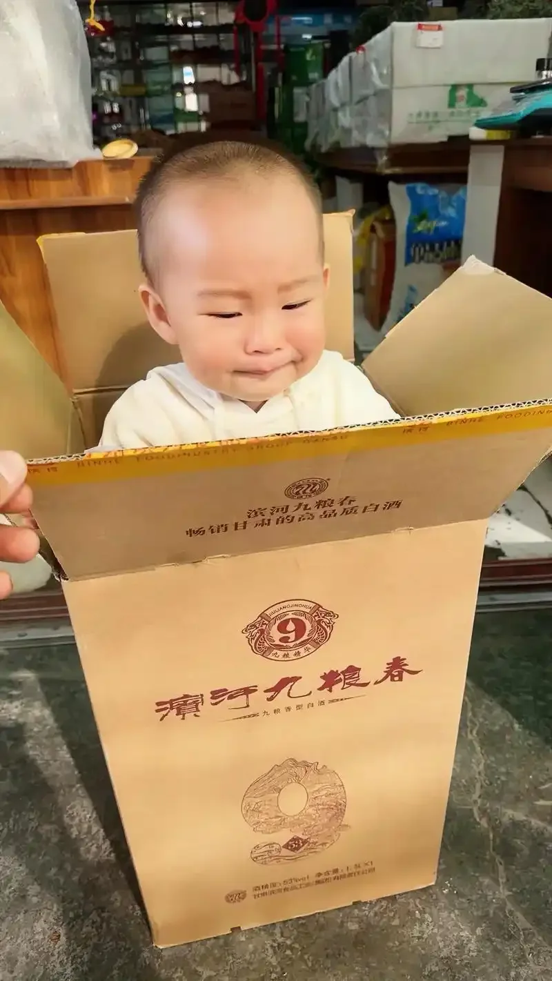 九种用于酿造九粮春白酒的粮食原料特写，包括高粱、大米、小麦、玉米等，展示了多粮配比的物质基础。_1