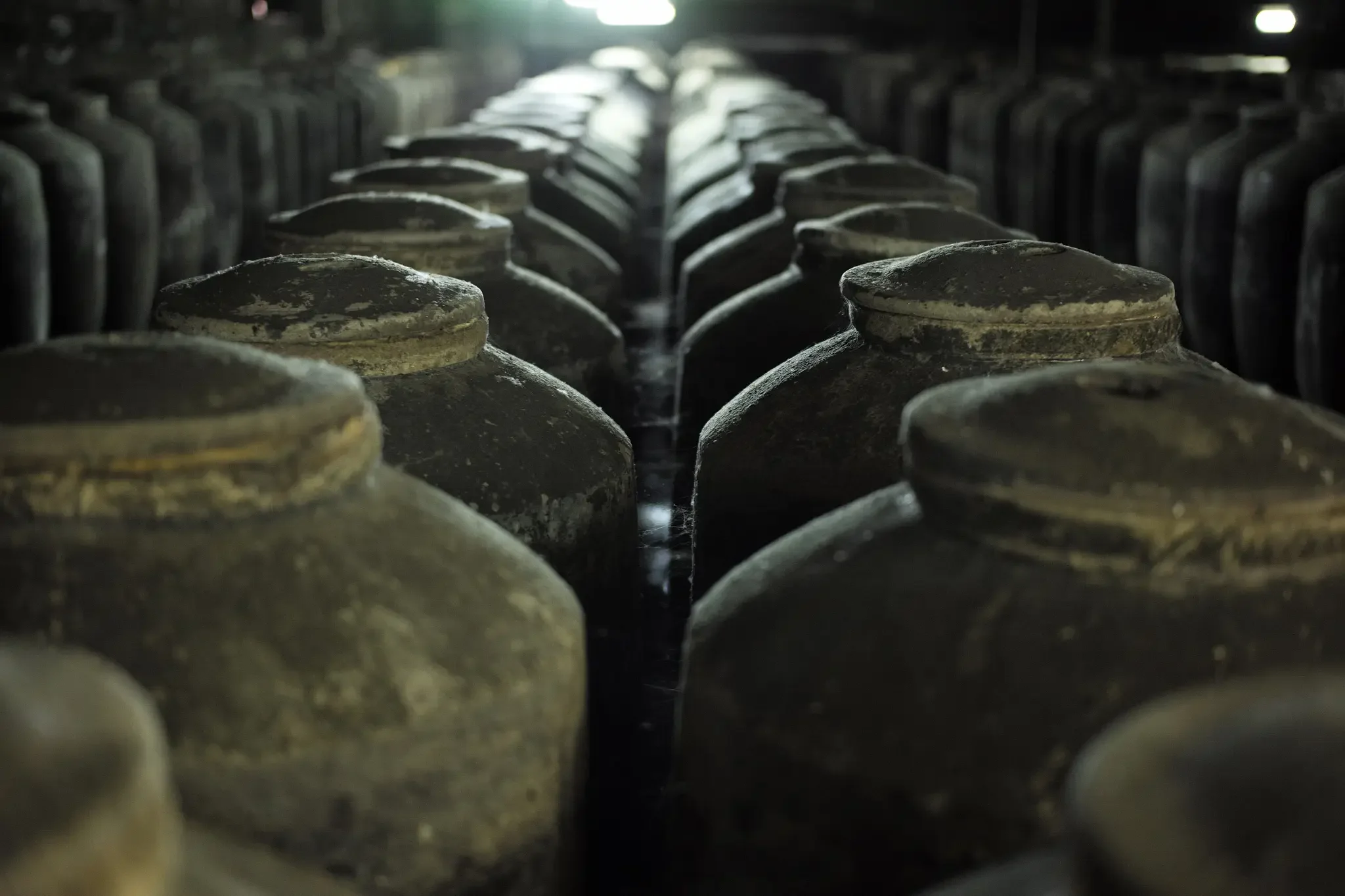 酱香酒酿造车间内，酿酒师正在对酒糟进行关键的摊晾工序，这是控制杂醇油生成的重要环节。_1