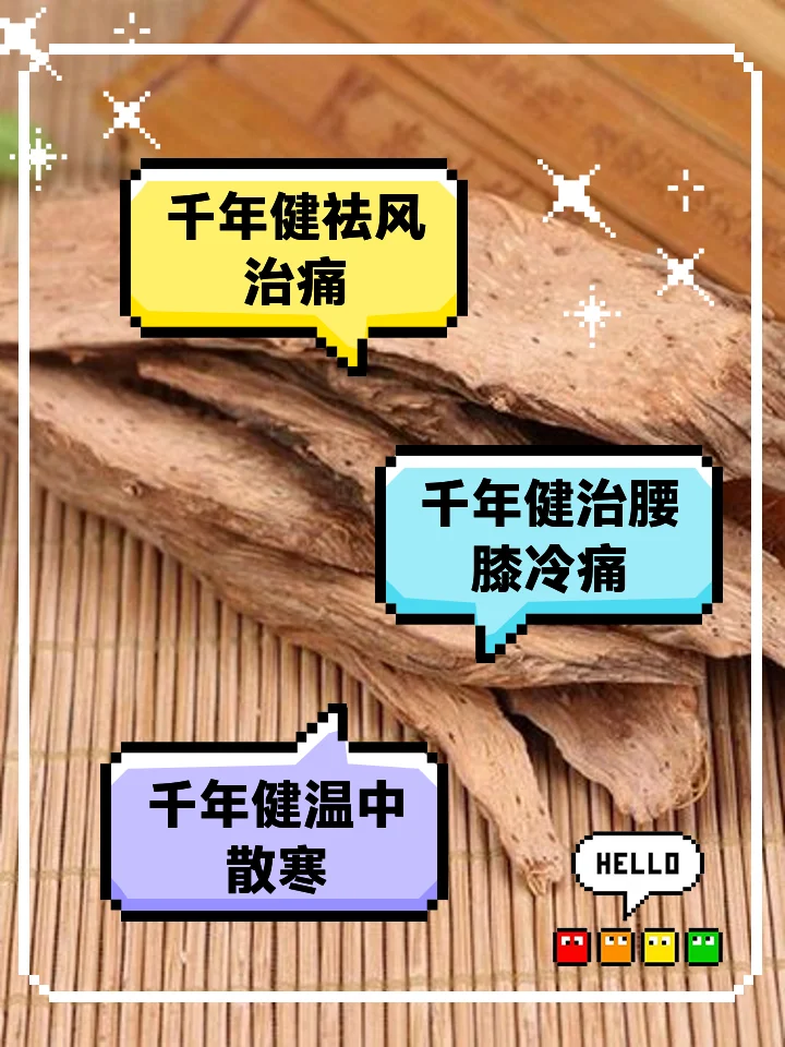 透明玻璃酒坛中浸泡着千年健药材的静物特写，展示其正确的泡酒状态_1