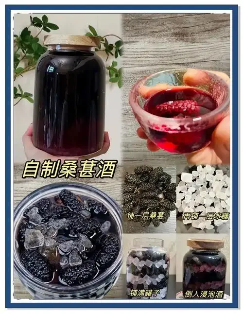 桑葚干与正在发酵的桑葚酒玻璃罐对比图，展示家庭酿酒的专业场景_1