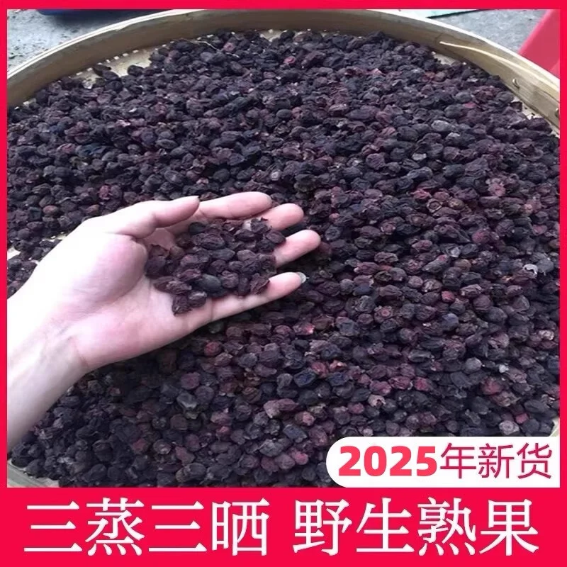 桃金娘根泡酒制作过程展示：玻璃罐中浸泡着药材，旁边有称重工具和酿酒笔记_1