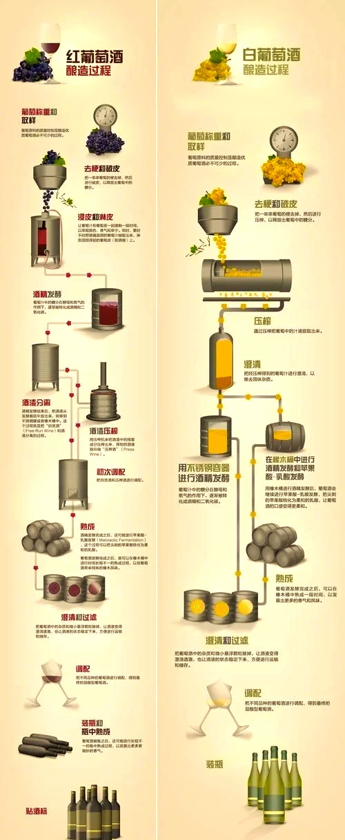 酿酒师正在检查和处理刚压榨出的白葡萄汁，展示酿造初期葡萄汁的状态_1