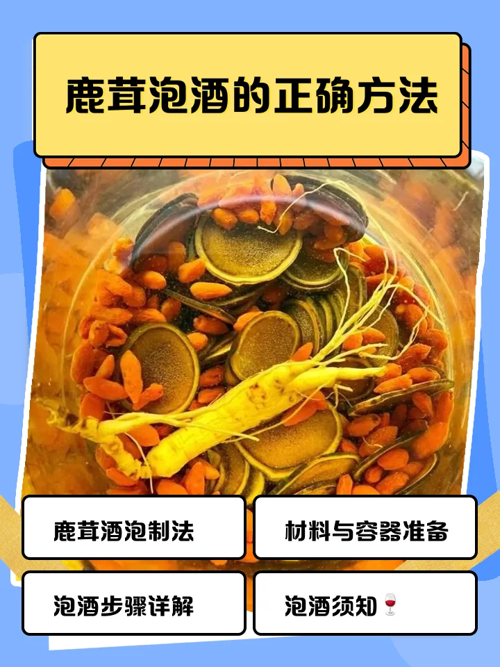 人参、鹿茸片、玛咖干片与透明玻璃泡酒罐的摆放展示，用于演示名贵药材泡酒的正确准备过程。_1