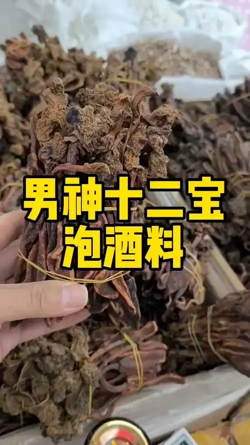 多种适合泡酒的药材在透明玻璃罐中浸泡的实拍展示，包括人参、枸杞、当归、鹿茸等，用于说明家庭自制药酒的常用原料。_1