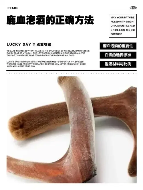 一瓶已开封的、带有沉淀物的自制鹿血酒特写，旁边散落着中药材，背景为酿酒工作台。_1