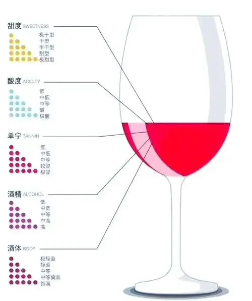 酿酒师手持红酒杯，观察酒液颜色与挂杯现象，进行红酒品质鉴别_1
