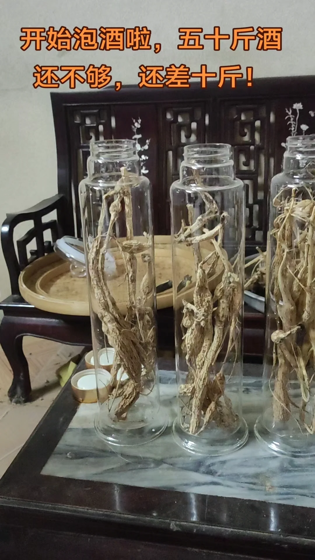 牛大力和鹿鞭泡酒过程实拍图，展示泡酒罐内药材与酒液的完美融合状态。_1