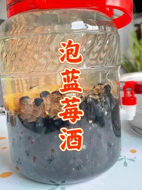 家庭自制蓝莓酒场景：新鲜蓝莓、玻璃发酵罐、酿酒工具静物摆放_1