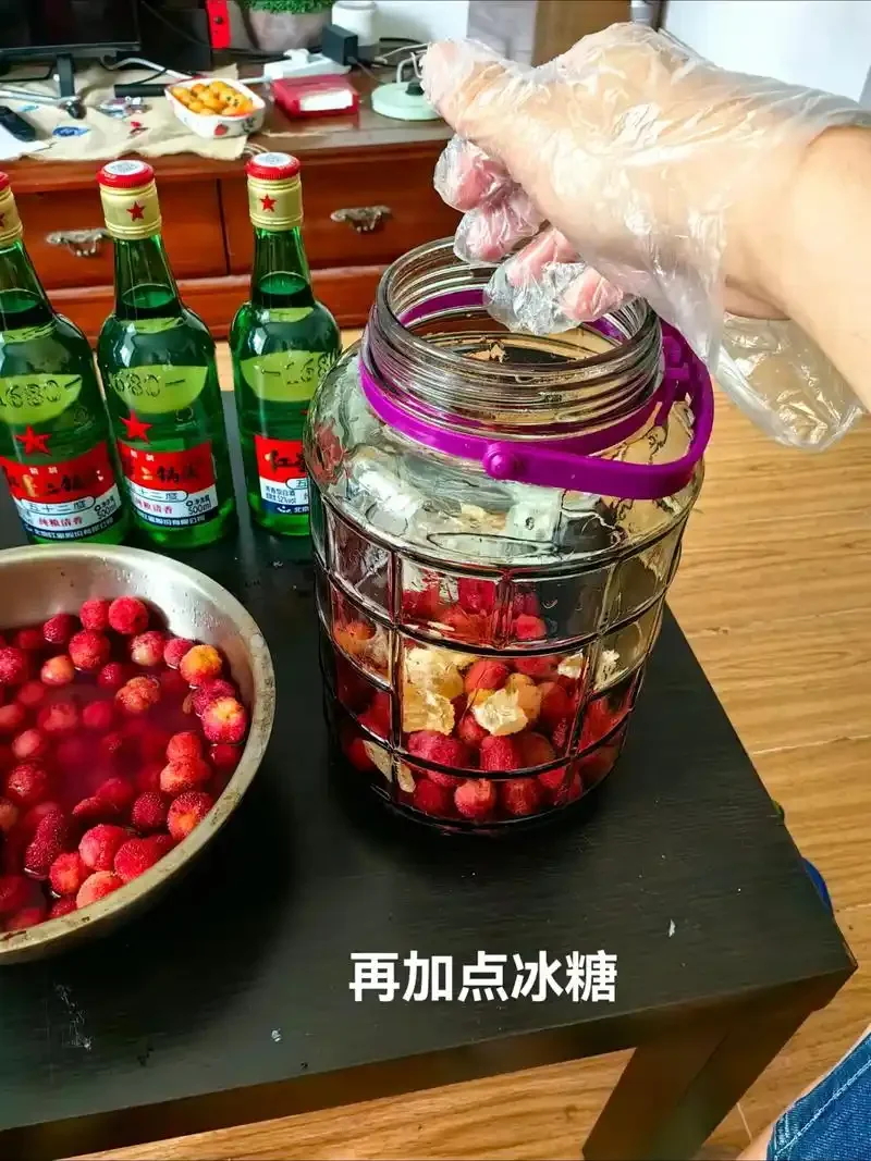 酿酒师手工挑选新鲜杨梅，准备用于制作杨梅烧酒的场景_1