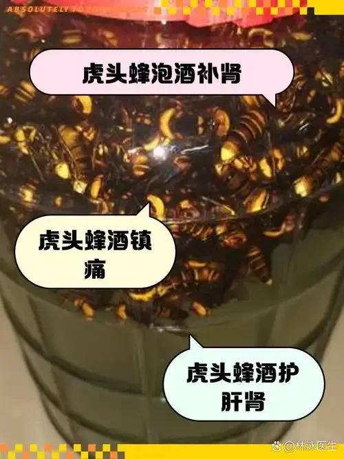 一瓶泡制好的虎头蜂酒特写，内含虎头蜂、红参和枸杞，旁边散落着其他泡酒药材，展示家庭酿酒的专业与讲究。_1
